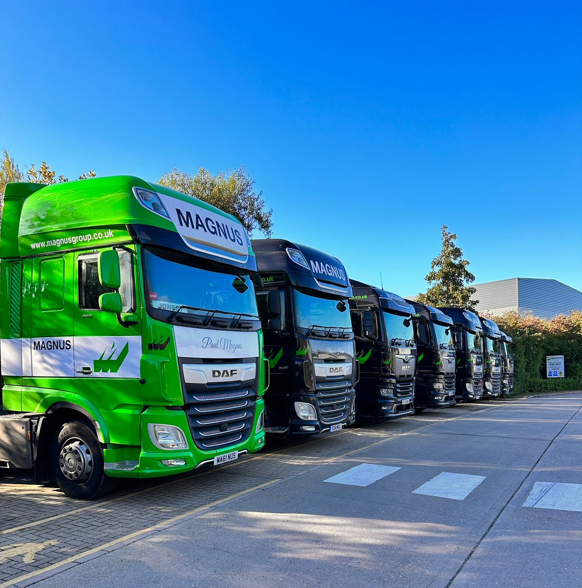 How's this for an awesome line-up?

#logistics #transport #transportation #trucking