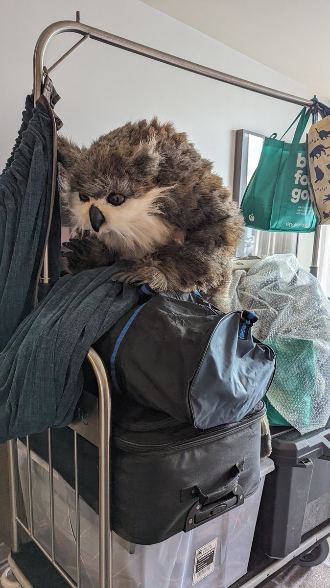 HenchAndScrap's tweet image. Here's a little more on how we made our BG3 owlbear cub! Going to talk about how we turned the game model into a functioning body this time! So, a thread! ... (1/10)
#bg3 #BaldursGate3