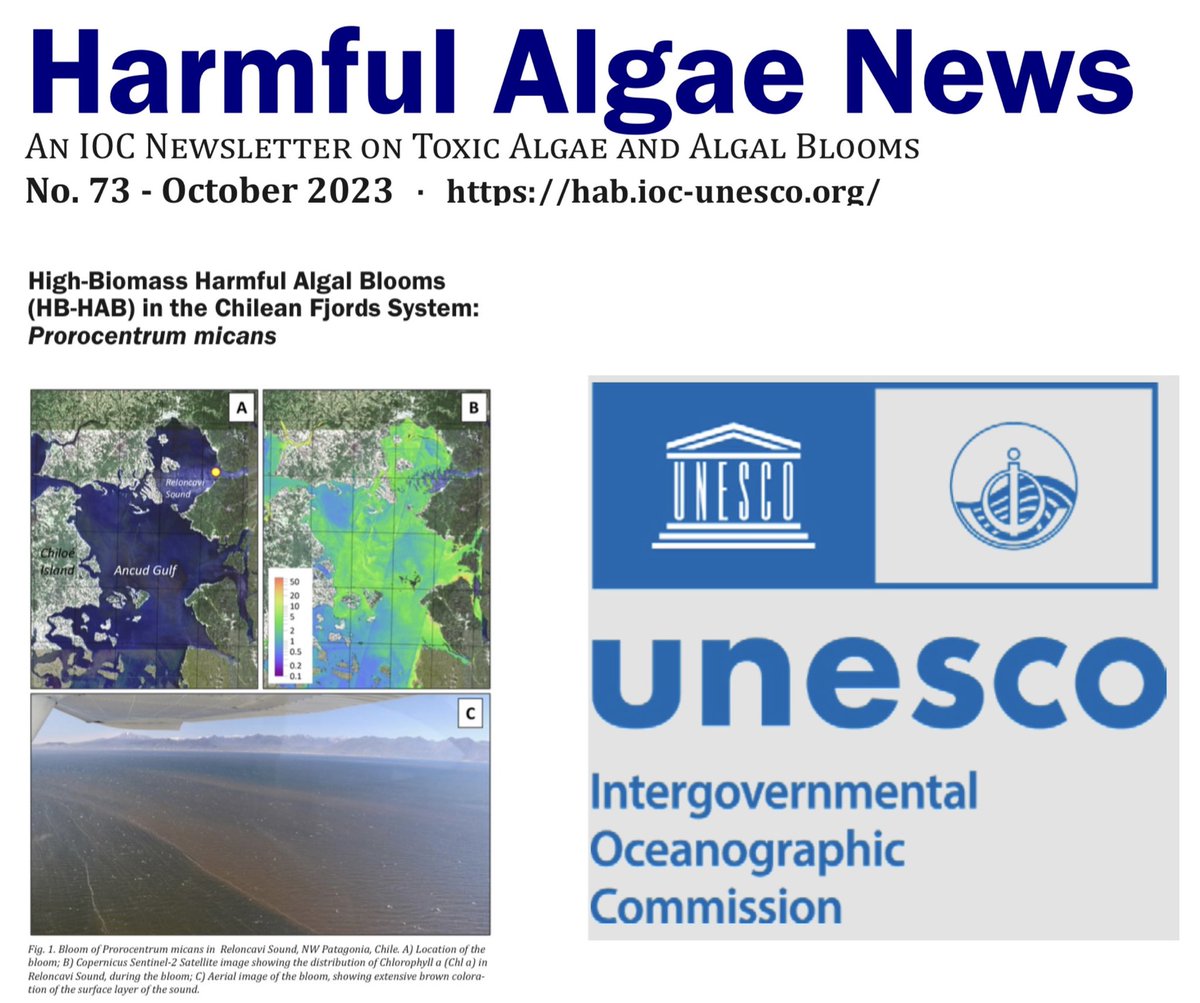 bastileila's tweet photo. Our research in the fjord systems of Chile in the news on Toxic Algae and Algal Blooms of the Intergovernmental Oceanographic Commission of #UNESCO - Díaz, Rosales, Alvarez, Villanueva, Basti. A collaboration Academia-Private Sector. #chile https://t.co/6WosOMvLKK