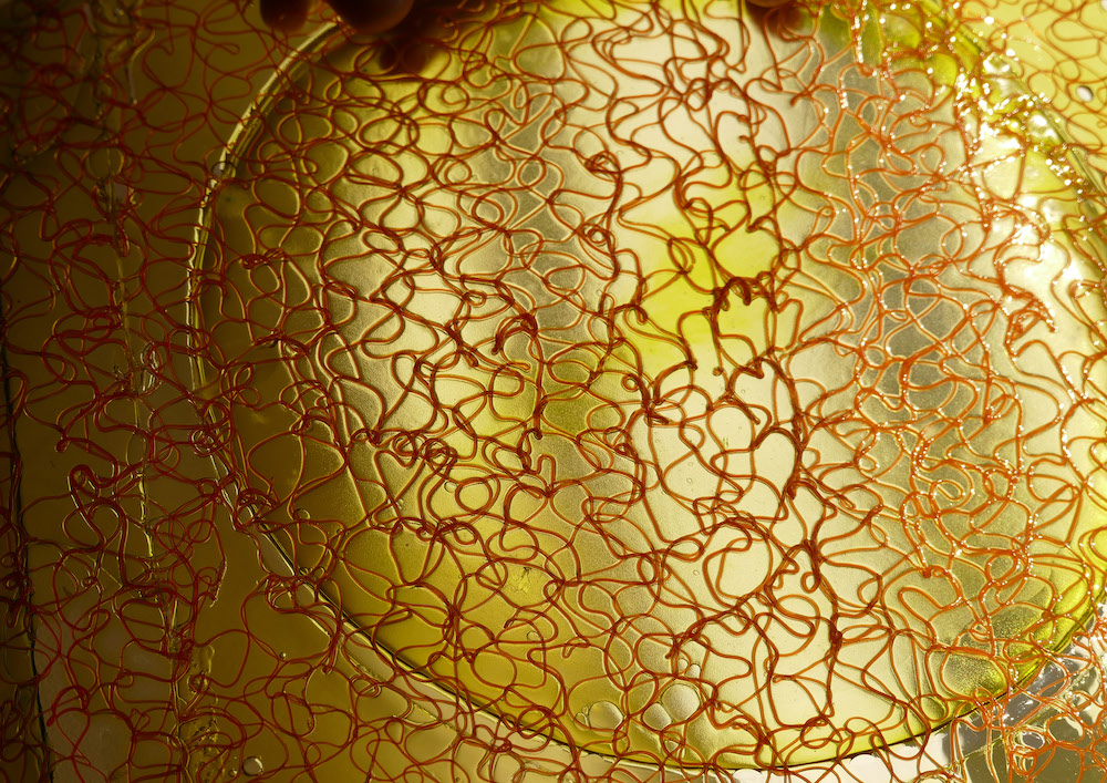 fabricademy's tweet photo. Discover the #Fabricademy Projects 2022-23 at https://t.co/xDJimHvmbM and stay tuned to discover what our current participants will soon fabricate! 

🧫 Today learn more about Kleis, Alessia Pasquini's final project, developed @waag >> https://t.co/MZtgrSDxeC https://t.co/D6EJdaT9c6