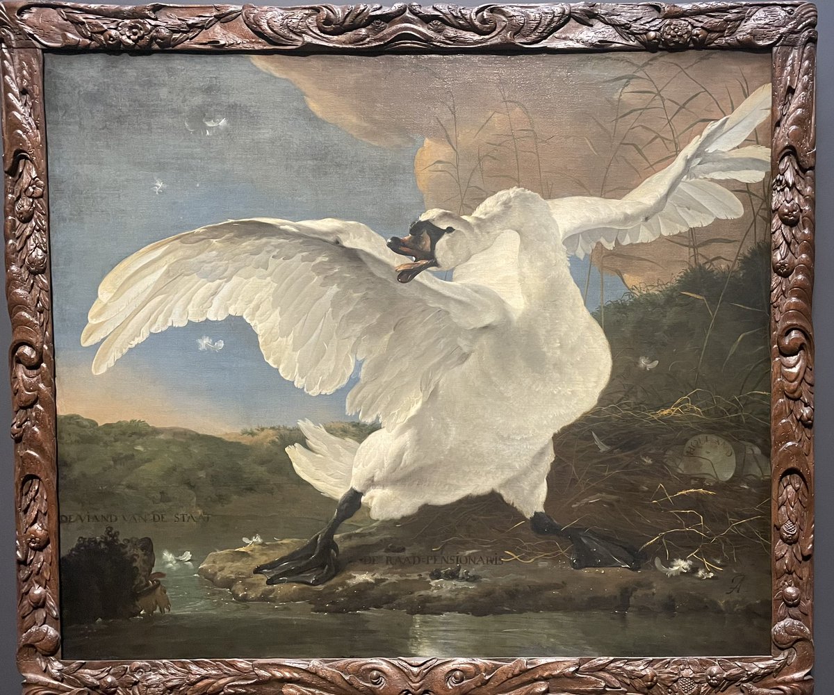 The threatened swan-once thought of a swan fiercely defending its nest from a dog,later interpreted as a political allegory.During Israeli reform protests, it represented people defending against leaders actions, now against terrorists. Both times, the leaders failed their nation