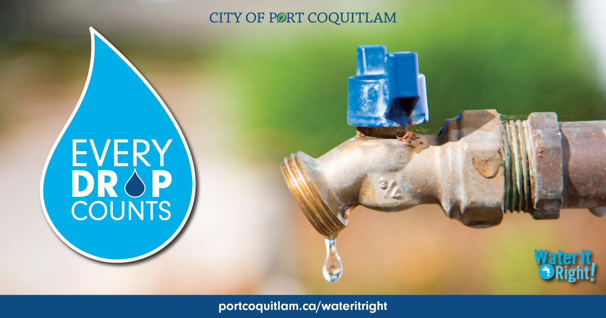 CityofPoCo's tweet photo. Water conservation is important all year around! 💧

🚰 Turn off the tap/hose when not in use
🏡 Check your home for leaks
🧺 Run full laundry/dishwasher loads
🌧️ Use barrels to collect rainwater for outdoor plants
🚿 Take shorter showers

Every drop counts! 👏

#PortCoquitlam https://t.co/yLwbhbJtnz