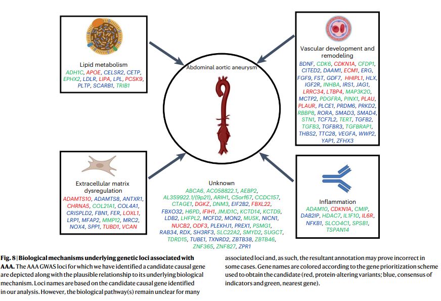 Darren Schneider, MD (@vascularmd) on Twitter photo Major advance towards understanding the genetic basis for abdominal aortic aneurysm disease, showing a critical role of lipids and lipid metabolism in #AAA pathogenesis. Congrats to <a href="/PennVascular/">Penn Vascular Surgery</a> Dr. Scott Damrauer and his collaborators! nature.com/articles/s4158…
<a href="/PennMedicine/">Penn Medicine</a> Major advance towards understanding the genetic basis for abdominal aortic aneurysm disease, showing a critical role of lipids and lipid metabolism in #AAA pathogenesis. Congrats to <a href="/PennVascular/">Penn Vascular Surgery</a> Dr. Scott Damrauer and his collaborators! nature.com/articles/s4158…
<a href="/PennMedicine/">Penn Medicine</a>
