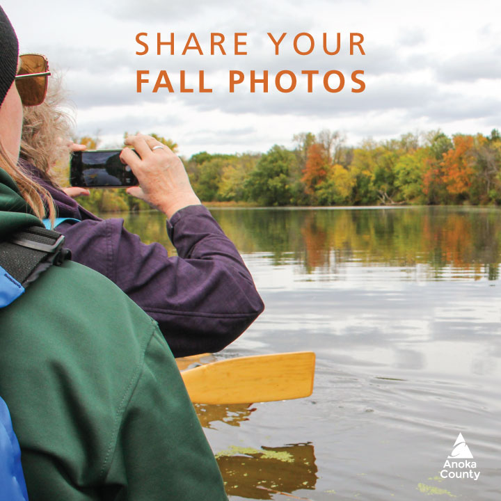 Have you been enjoying the fall? A recent voyageur canoe trip on the Rum River sure did. 🍂📷 Share your fall photos in the comments! #anokacountyparks