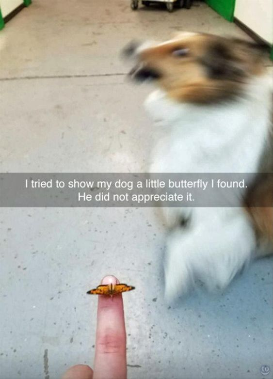 WholesomeMeme's tweet photo. https://t.co/nHNwQhlSfd