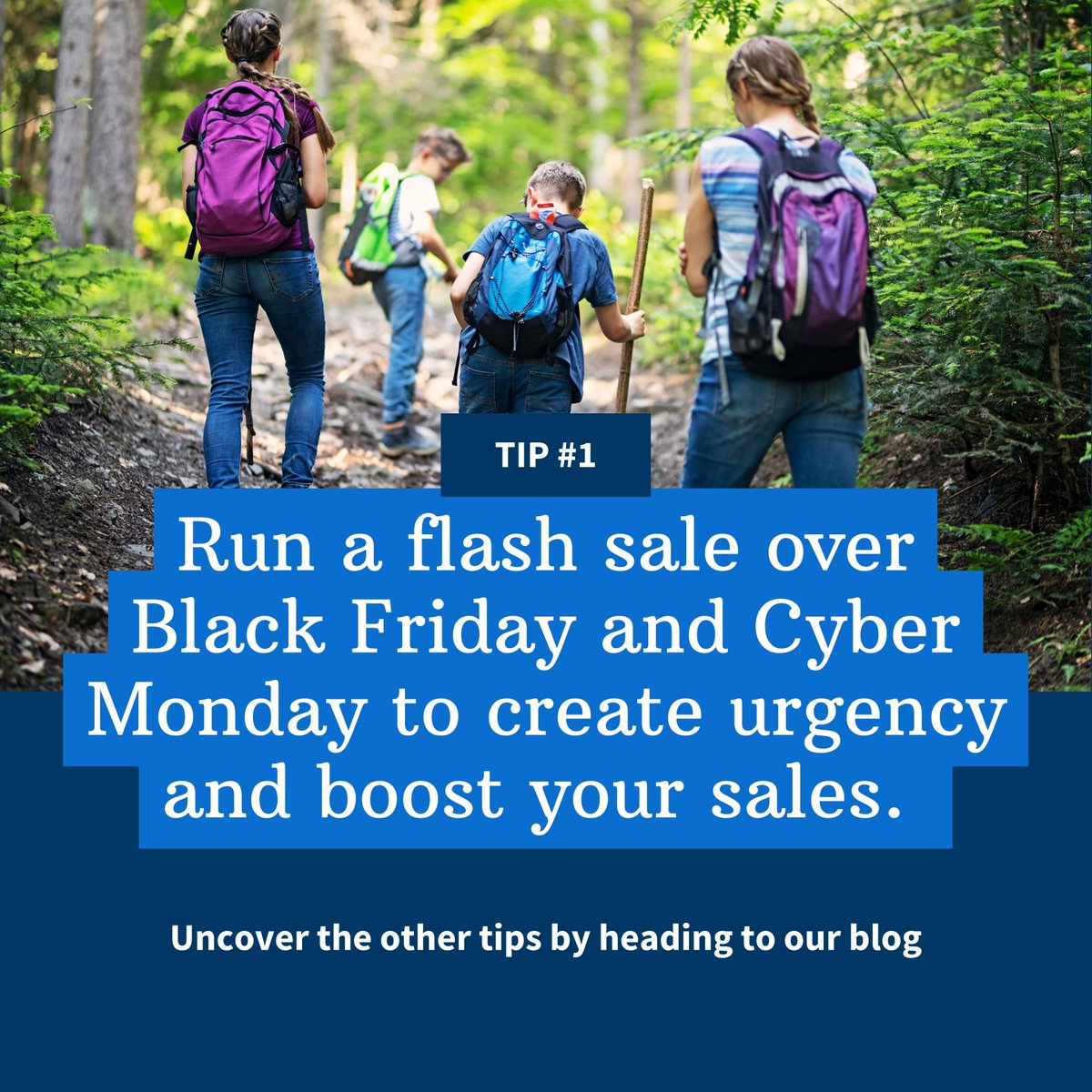 FareHarbor's tweet image. It&apos;s time to start thinking about your Black Friday plan. Really? Yes! In this month&apos;s Compass sneak peek, learn 3 promotions you can run to skyrocket your online sales. ow.ly/w1XU50PWg2Z

#fhblog #fhcompass #blackfriday #blackfridaysale #promotions #flashsale #cybermonday