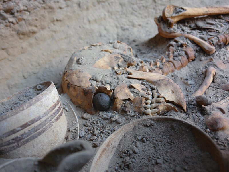 Rainmaker1973's tweet photo. This is a 4,800-year-old prosthetic eye made from tar and animal fat. 

It was discovered in Shahr-e Sukhteh, close to  Zabol, Iran and it's the world's earliest known prosthetic eye. 

It was was once painted with gold and was likely worn by an ancient priestess. https://t.co/6mdgdSsUlB
