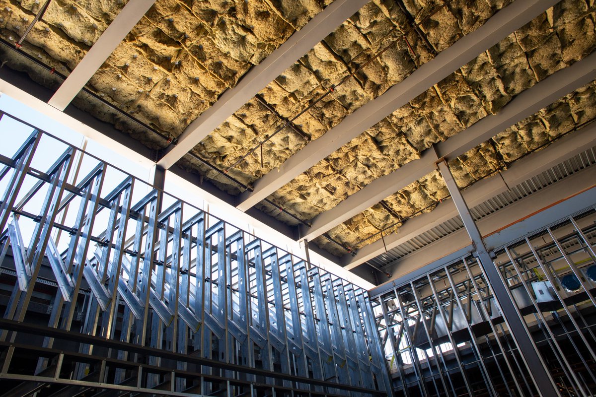 archimania tweet media