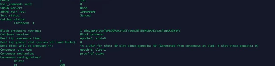 ETCMINER's tweet photo. Running @MinaProtocol #testworld https://t.co/0CYOt5SJeO