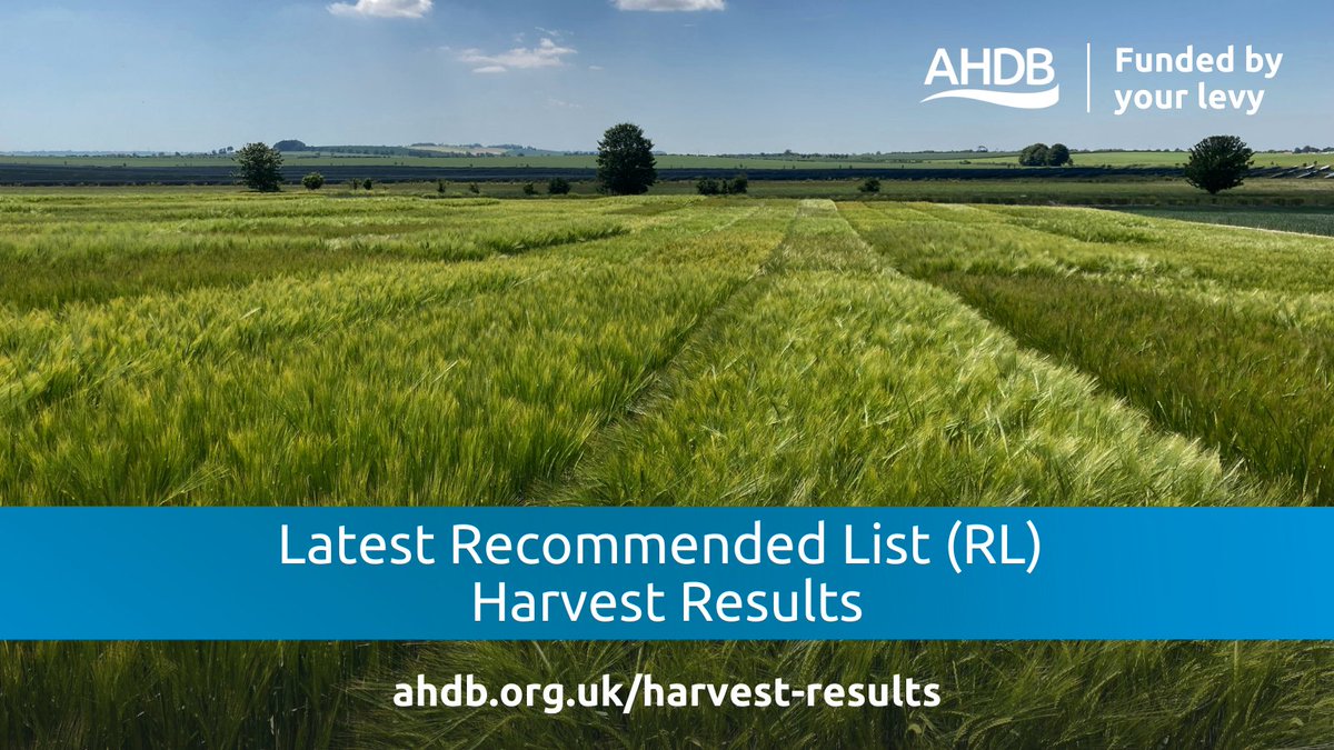 AHDB_Cereals's tweet photo. AHDB #RecommendedList Spring barley trials are complete &amp; yields are generally disappointing, with both fungicide-treated and untreated trials below 5-year avg. 

Some of the newer varieties &amp; candidates performed well in untreated trials. Find out more ➡ https://t.co/Obttf6FNI7 https://t.co/4x9Ut1dKAf