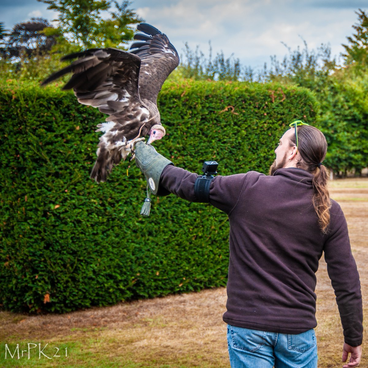 Tuesday Challenge 💭

How well do you know the African hooded #vulture?

Which of the following statements is correct?

A) The African hooded vulture is a carnivorous bird.
B) It primarily feeds on fruits and seeds.
C) It is one of the smallest vulture species.

Comment below!