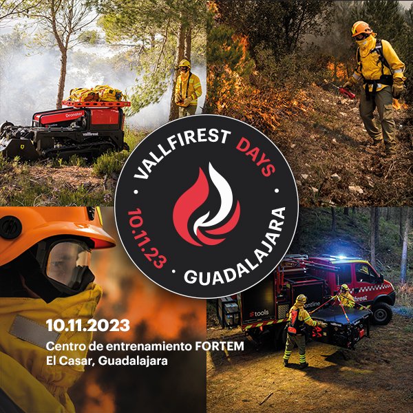 vallfirest tweet media