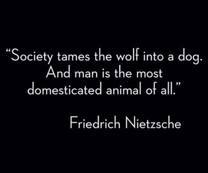ChessieR's tweet image. For your consideration.
#CSRobertsAuthor #AwarnessPerpetrator #MindStream #EvolutionOfSelf #RaiseYourResonance