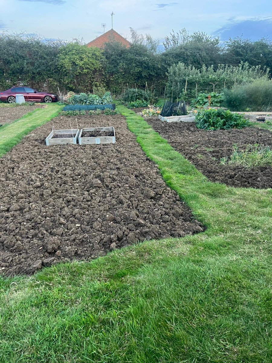 allotmentonline's tweet photo. Getting ready for winter, just got some onion sets to sow tomorrow and we’re nearly there… 🧅 

#autumnallotment #soilprep #growyourown https://t.co/NBj37c60uF