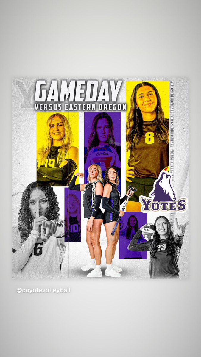 C of I Volleyball tweet media