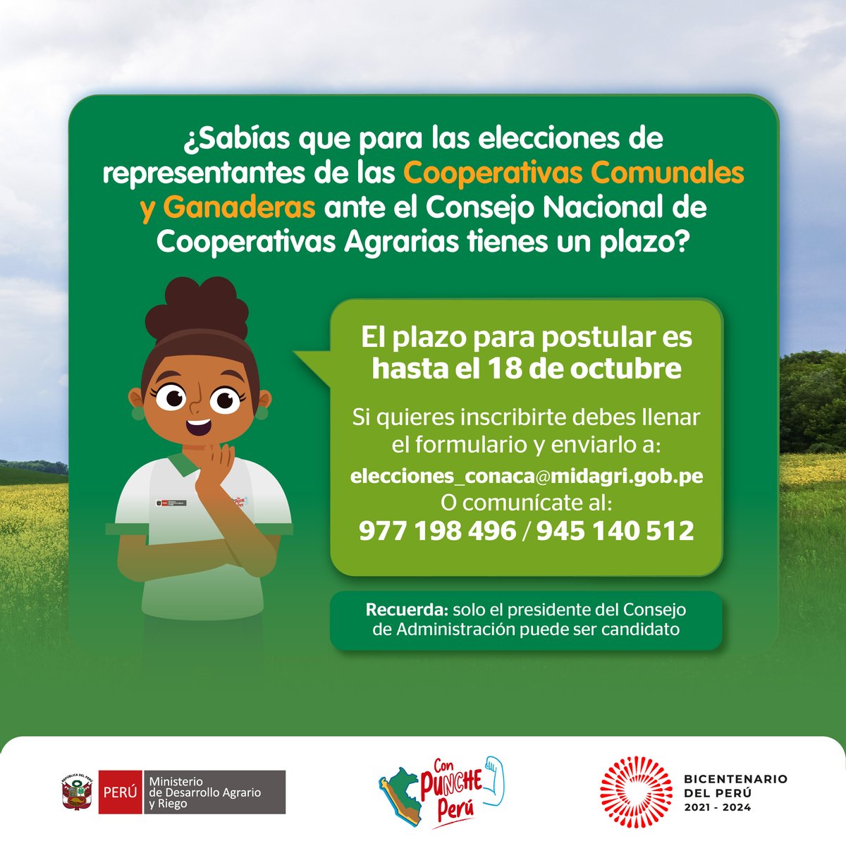 midagriperu's tweet photo. ¿Perteneces a una cooperativa comunal o ganadera y estás inscrito en el #RNAC?🤔Postula a las elecciones ante el #CONACA hasta el 18 de octubre.
▶ Descargar el formulario de postulación: https://t.co/qN7vSnwNaW https://t.co/tDtdfrE2ft