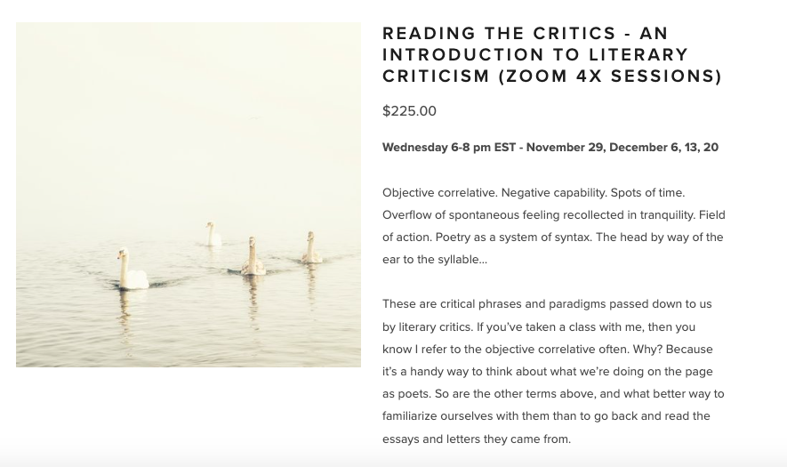 I'm teaching a 4x session course on Literary Criticism in November. Absolute beginners ABSOLUTELY welcome—we will be reading and reflecting on these concepts together in the warmest, most welcoming environment. 

mayacpopa.com/courses/litera…