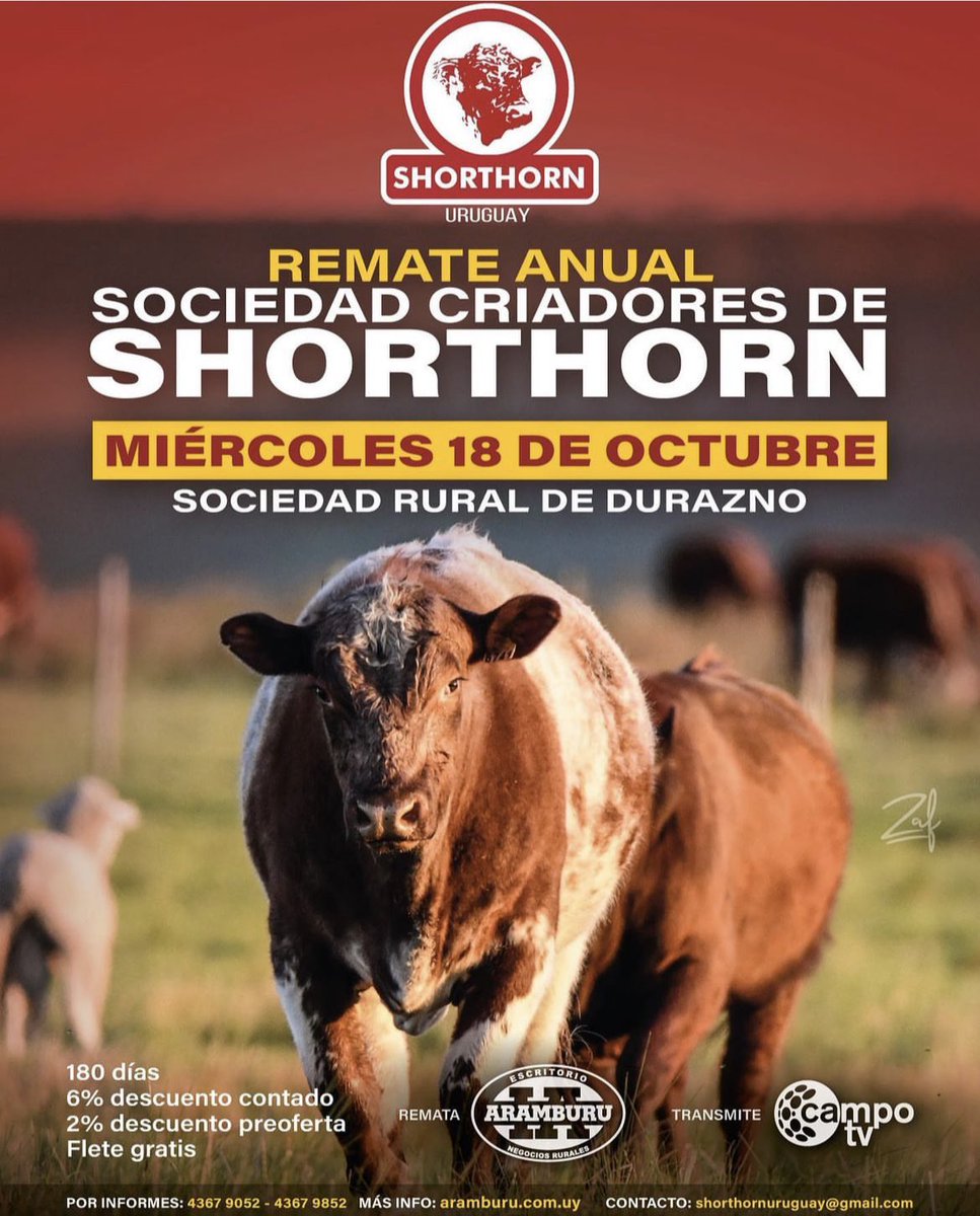 Federico Stirling tweet media