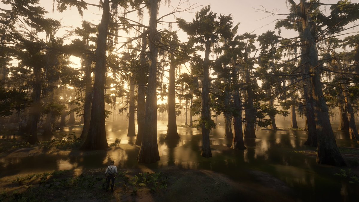 Wizz_008's tweet photo. #RedDeadRedemption2 #RDR2 #virtualphotography #ArthurMorgan #PS4share https://t.co/ynmFUYyDFX