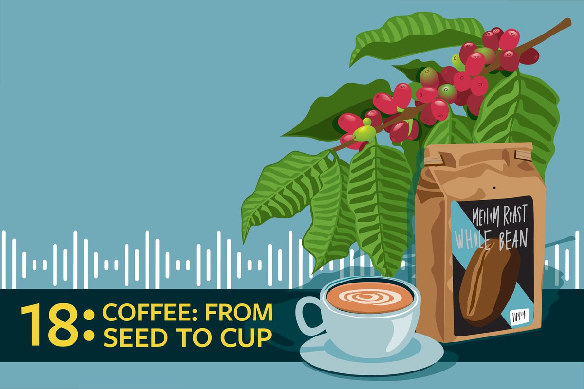 kitchensisters's tweet photo. The Kitchen Sisters Present… Make Coffee Black Again, a special episode from @foodprintorg's What You’re Eating podcast. WYE host @eathere2 interviews the amazing coffee entrepreneur Bartholomew Jones of @cxffeeblack. Listen at https://t.co/FZfr9zd7MS https://t.co/9woqd09pdl