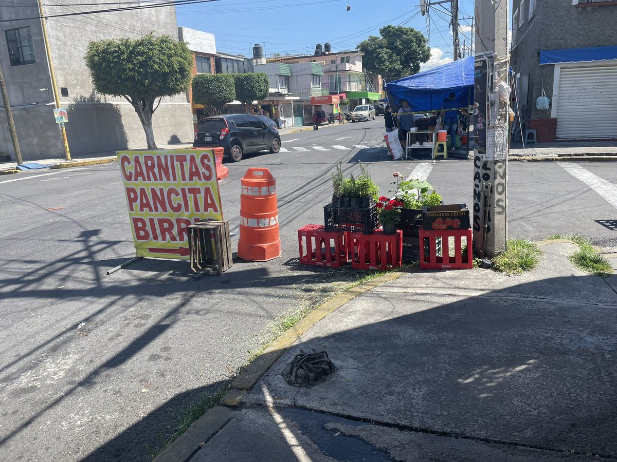 eztarvan's tweet photo. @Alc_Iztapalapa  en la calle de silos y ganaderos colonia progreso del sur de su alcaldía . 
Venta de platas y anuncios publicitarios a mitad de calle .
Cada día se extienden mas . https://t.co/MYCmNiVqay