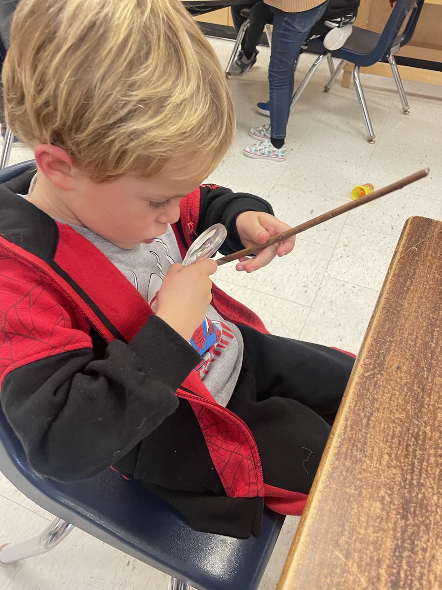 brigidfdk102's tweet photo. Bio Blitz day two! We started off the day reading “ What I found in the woods”. We worked on focusing on small areas to look closely at.  Once in our classroom, we worked on using our senses to notice and describe our treasures! @dp_EarlyYears #kindergartenbioblitz @brigidfdk101 https://t.co/ZlvuIHzTGN