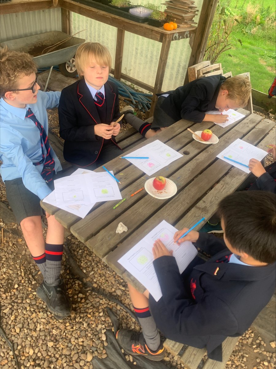 Bilton Grange tweet media