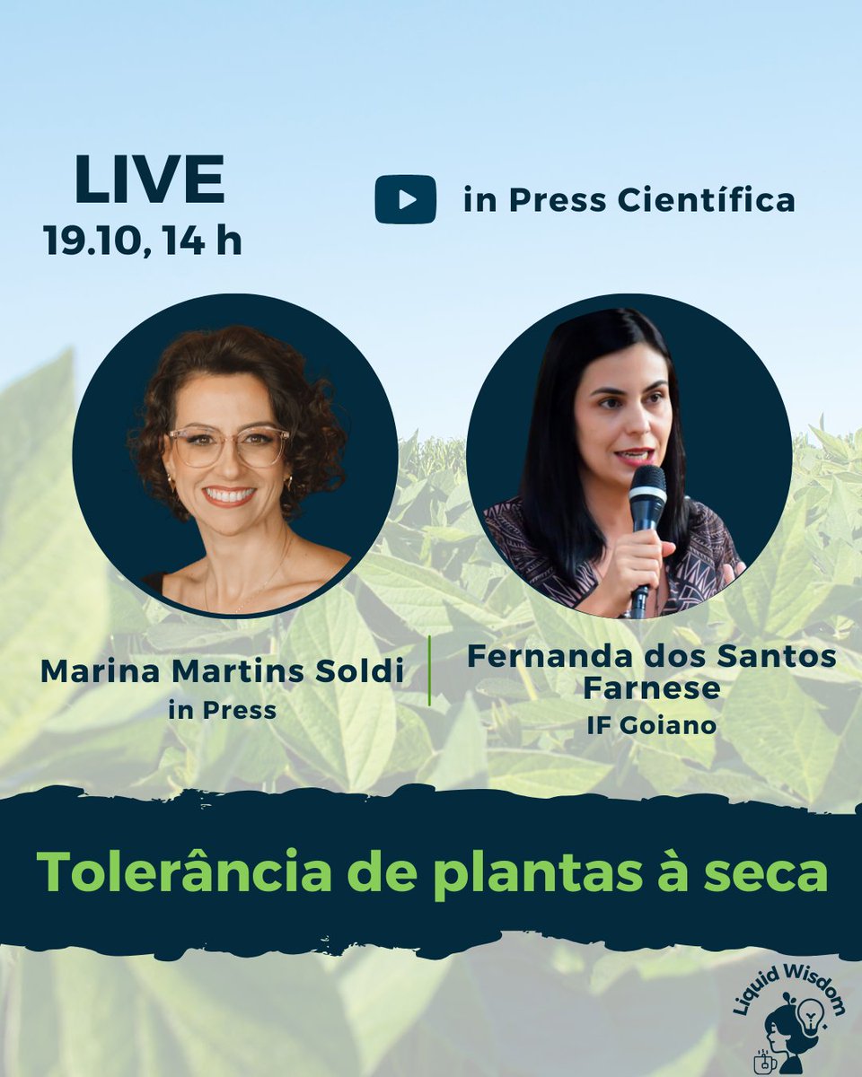 Marina Martins Soldi tweet media