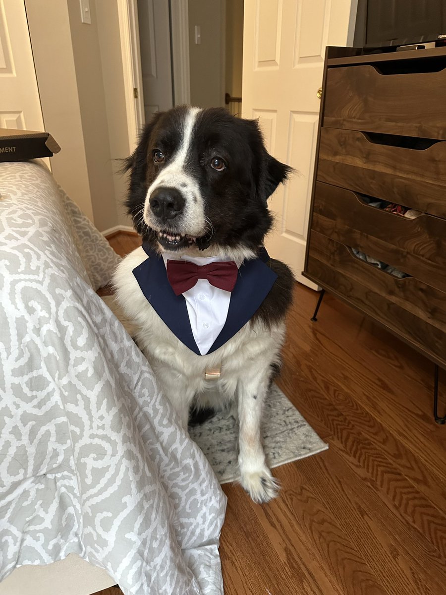 Jelani K. Grant tweet media