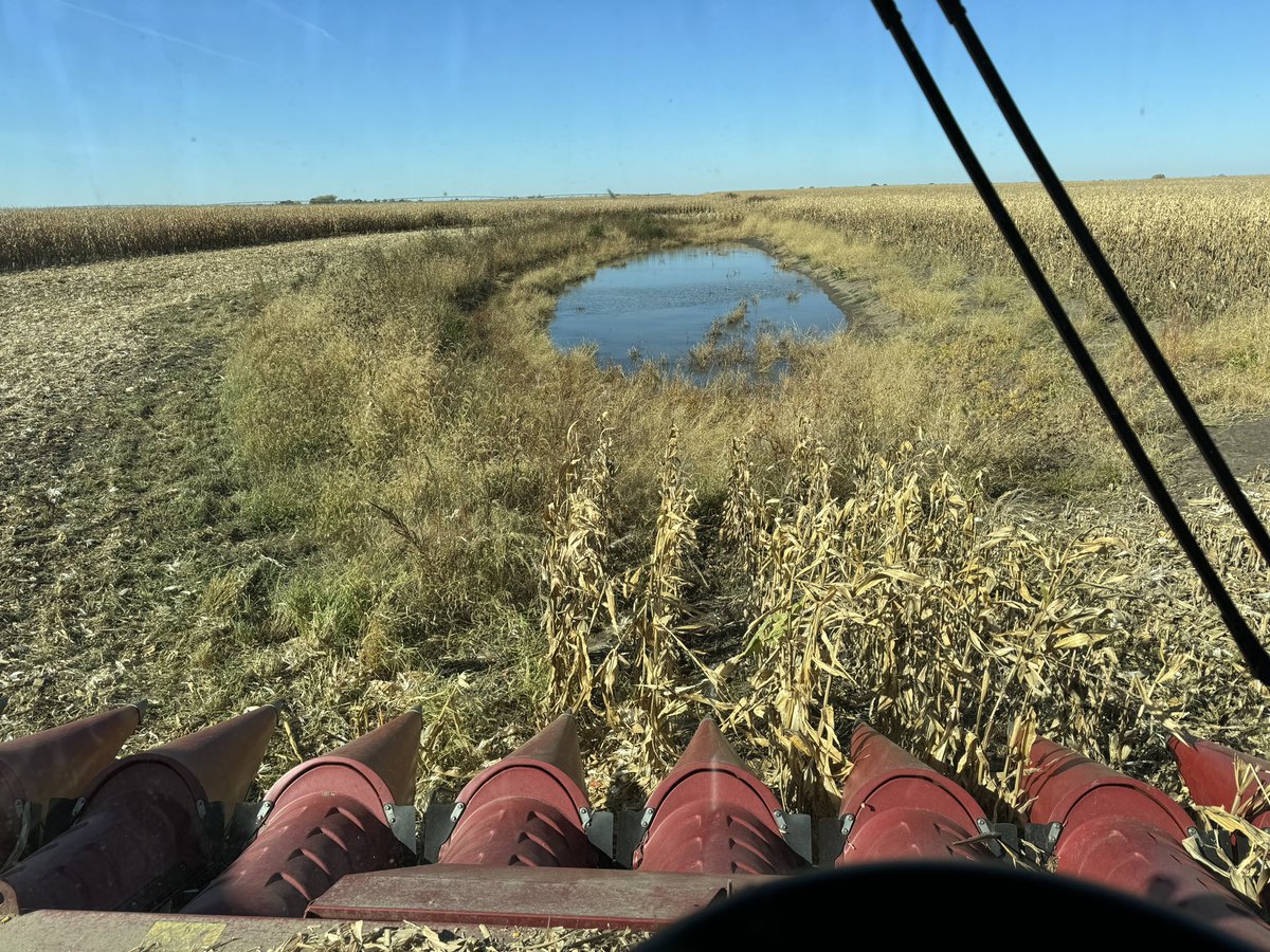 1000 reposts, and I’ll drive the combine through this Pond.