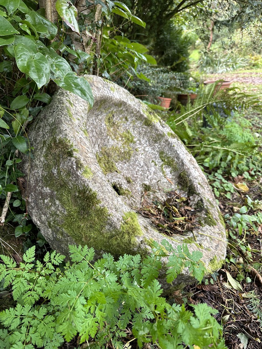 katemacrae's tweet image. Look at this beauty in the garden! Not sure how I will move it, but it’s going to be a beautiful waterhole with a pump to keep water moving and keep it ice free 🤞🤞🤞#GwylltHollow #TooManyProjects 😂😂