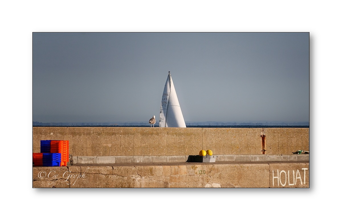 CGryph's tweet photo. Demat deoc'h ! 😁
Petite série houataise... 😉
1 - Où suis-je ? 😅
#Enez_Houad
#Bretagne #Morbihan #IledeHouat #Photographie https://t.co/HV7wp1L06W
