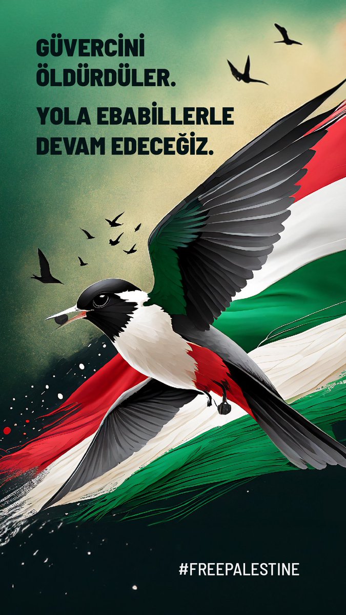 dertlisozluk's tweet photo. Güvercini Öldürdüler.

Yola Ebabillerle Devam Edeceğiz. 

#ZionistTerror 
#FreePalestine https://t.co/x2lUkjLPPp