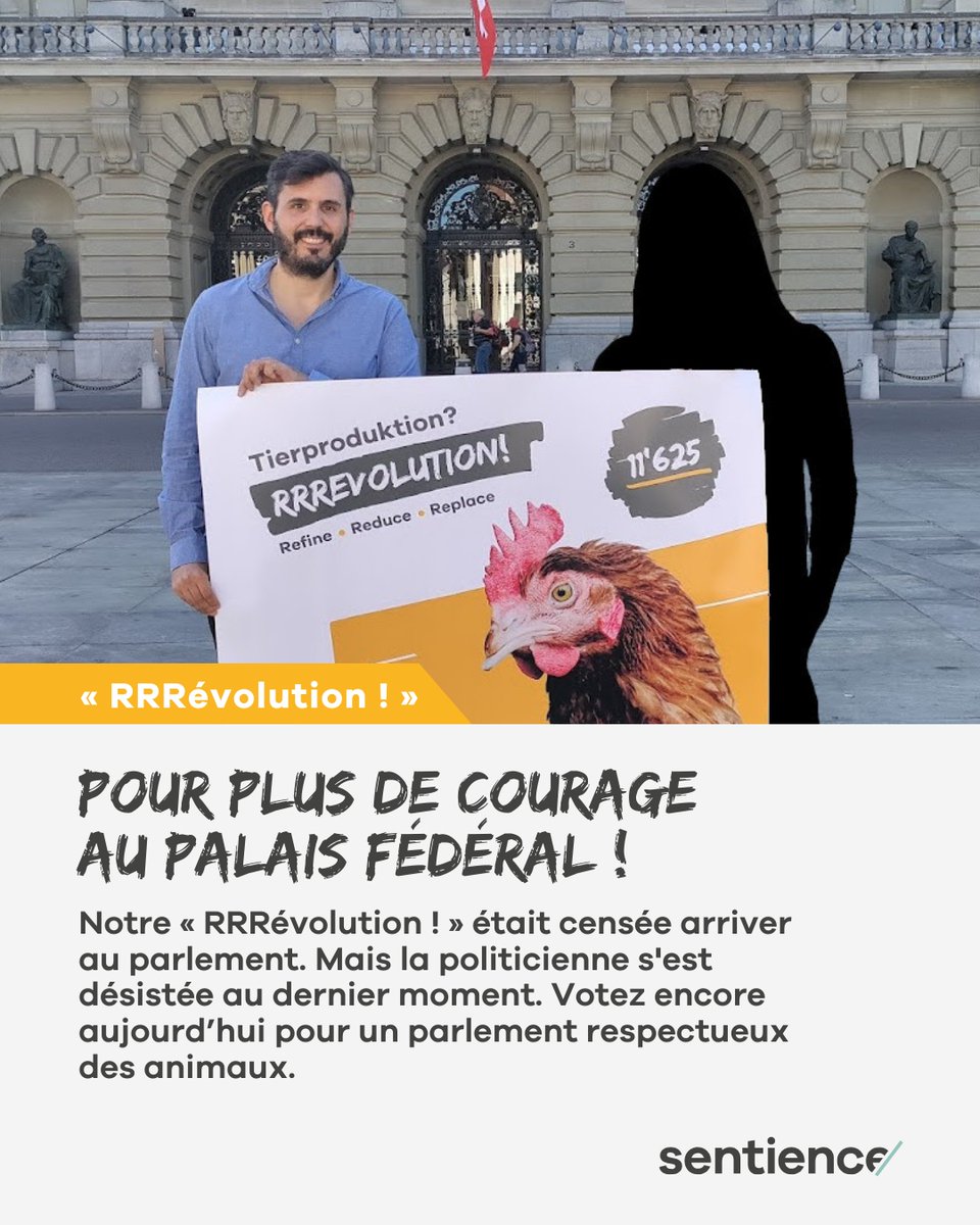 Pour nous, cette anecdote montre une fois de plus à quel point le bien-être des animaux reste un sujet mineur dans la Berne fédérale.

❗️C'est pourquoi il faut plus de courage au Palais fédéral ! Envoyez encore aujourd'hui votre enveloppe de vote. 📮