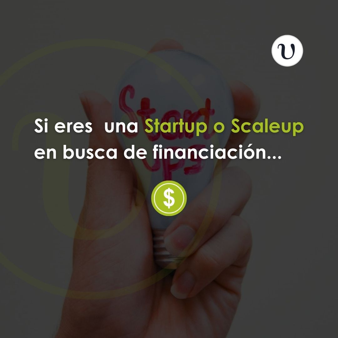 ipsom_es's tweet photo. https://t.co/RD2CYyJOw8

Las #startups y #scaleups pueden optar a diferentes ayudas y subvenciones, para impulsar sus proyectos emprendedores. 🚀💡

#ipsom #ayudas #subvenciones #préstamos https://t.co/CwHzXbRvGH