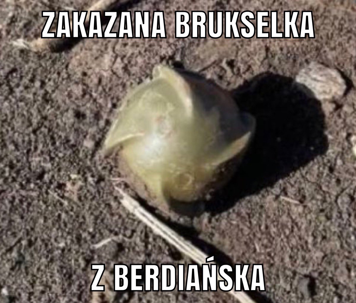 Unterus's tweet photo. @DawidKamizela #ŚmieszkioWojsku https://t.co/3VGWGTbV4J