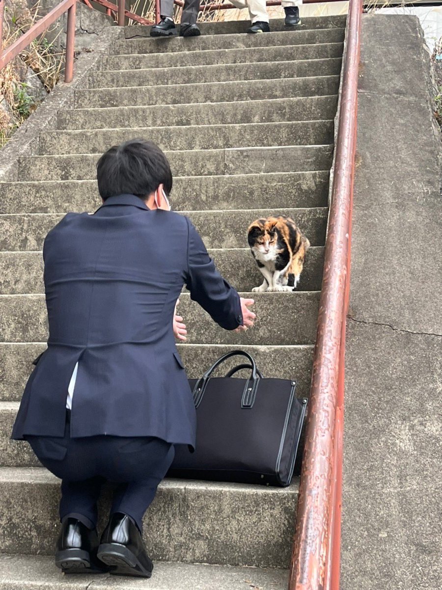 the73rd_daruma's tweet photo. スピーカー紹介9人目は、大学の部4thスピーカー 神戸大学の川崎弘貴様です☺︎

だるま杯に向けて一言：コンセプトがとっても素敵な、歴史ある大会でスピーチをする場をいただけてとても光栄です！誰かのvintageになれるよう情熱のこもったステージを作ります！ https://t.co/IFf1WNN3ik