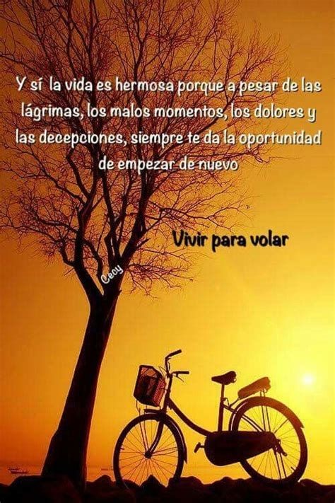 Laura González (@laura_glez_77) on Twitter photo 