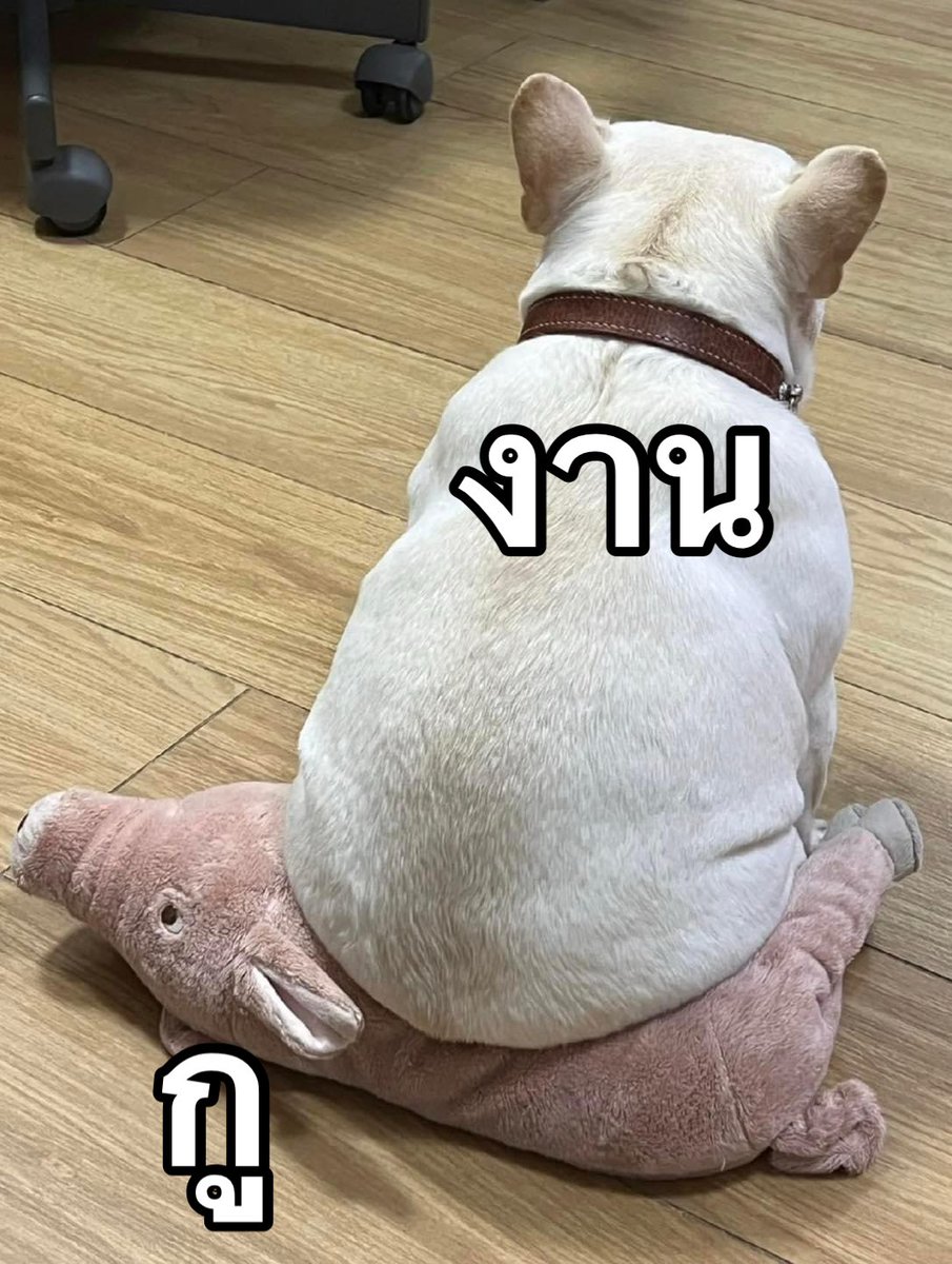 กุในทุกๆวัน =