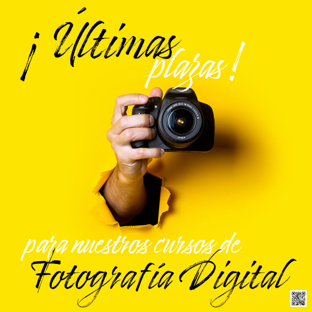 Infografia3dBCN's tweet photo. 📢https://https://t.co/7clRCs2VKo

#fomentformació #formaciónonline #formación #cursossubvencionados #impulsatuformacion #fpo_continua #fpo #barcelona #cursos #presencial #retoquedigital #infografia3d https://t.co/PUN9Vv919L