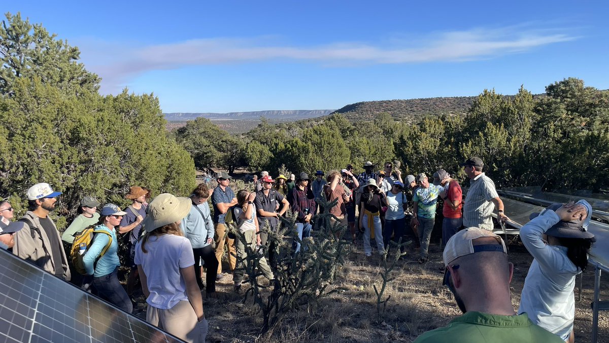 wmhammond's tweet photo. First #PhysFest4 field trip led by @wtp_abq was a visit to long-term pinyon juniper tree mortality experiments at @SVELTER. The last time I was here, many more trees were alive! #WhatKillsTrees https://t.co/h6vJh24MNm
