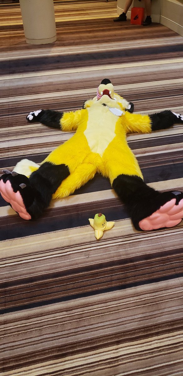 Nugget The Fox tweet media