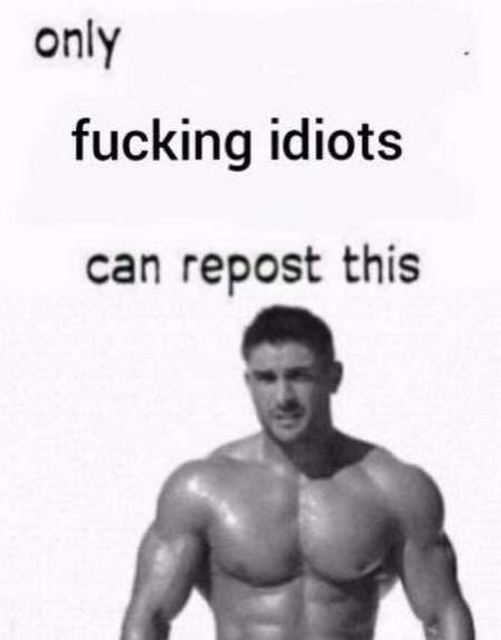 Manic Shitposter (@localmemeaddict) on Twitter photo 