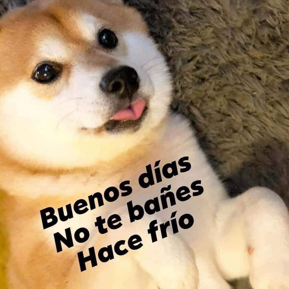 daniMendezM's tweet image. 