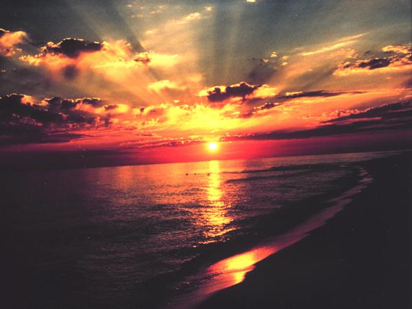 EarthlyEmissary's tweet photo. "Every sunrise is a precious gem, an artist's symphony in the sky that whispers hope, stirs wonder, and ignites our souls with its radiant hues. It's a daily masterpiece reminding us that every new day brings a chance for a fresh start. #SunriseSerenity" https://t.co/5uZcWf6eIj