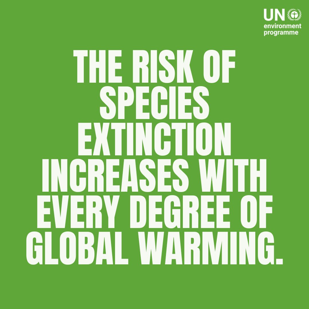Every fraction of a degree matters. The future of humanity depends on nature‘s survival. Countries must step up their #ClimateAction efforts & commitments #ForPeopleForPlanet. unep.org/explore-topics…