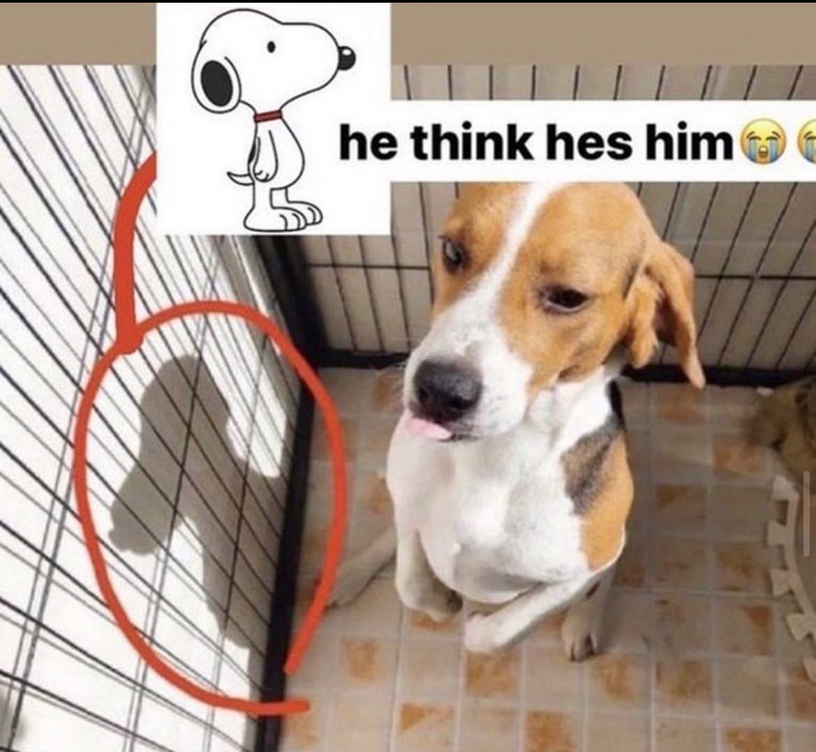 Respectful Memes tweet media