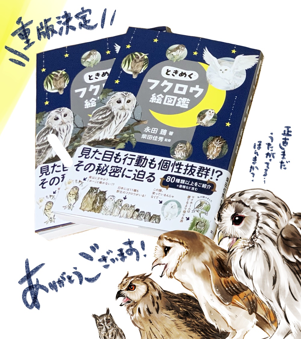 なんと、おかげさまでときめくフクロウ絵図鑑重版となりました🦉
ご購入報告やご感想、Amazonなどの⭐️投稿?等、本当にありがとうございます!
ほ、ほんまに売れるんかこの本…とベランダで体育座りしながら蜘蛛の巣眺めて不安がってた日々が報われました…フクロウはやっぱり魅力的だった!!