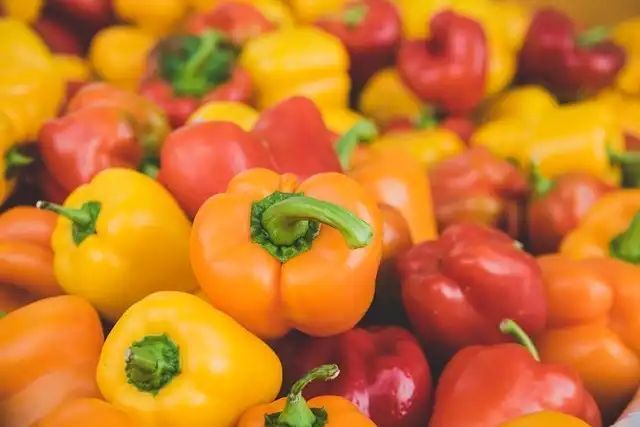 Unlocking the Genetic Code of Peppers: New Study Reveals Insights into Domestication and Diversity buff.ly/3FagjEs via @BTIscience #agriculture