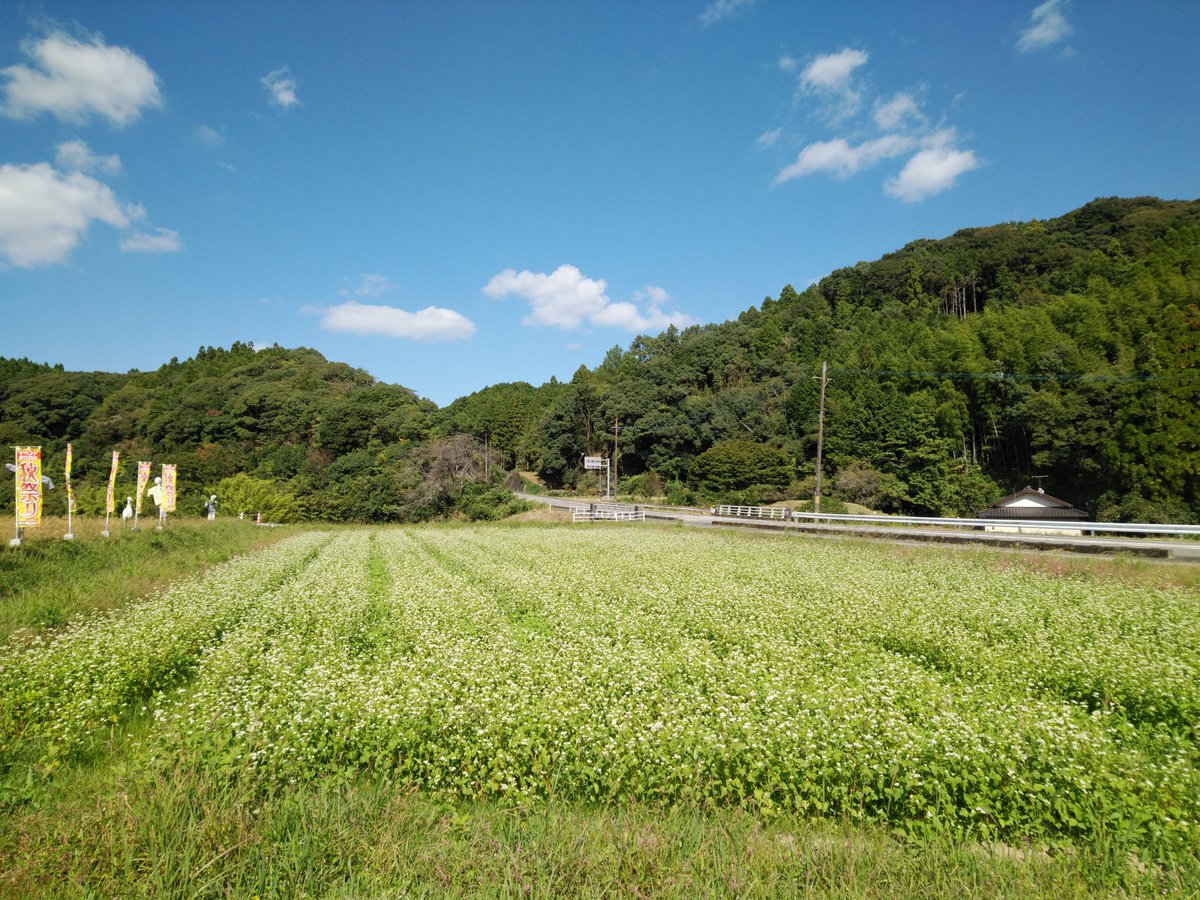 天草特産品ショップのお隣り町宮地岳かかしの里、秋まつり開催中！

#道の駅宮地岳かかしの里
#熊本県天草市
#天草特産品ショップ